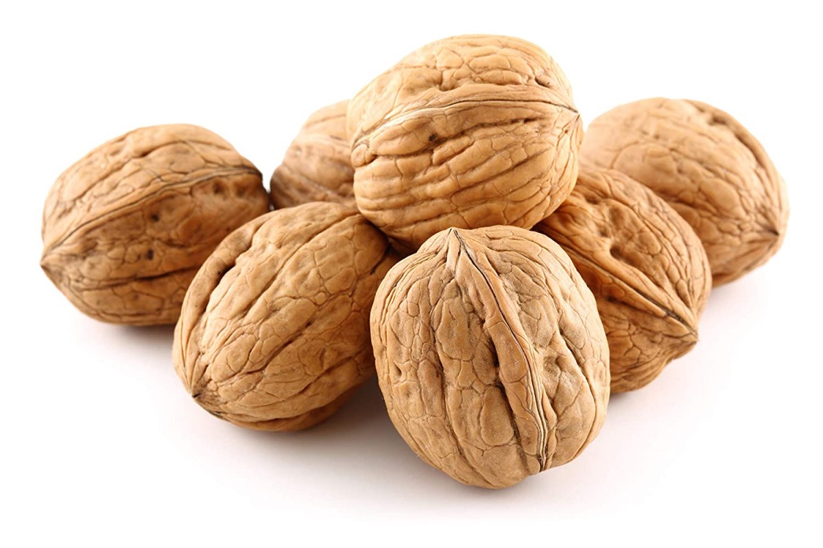 Organic Chandler Walnut from Turkey